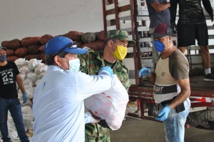 Ingreso Solidario